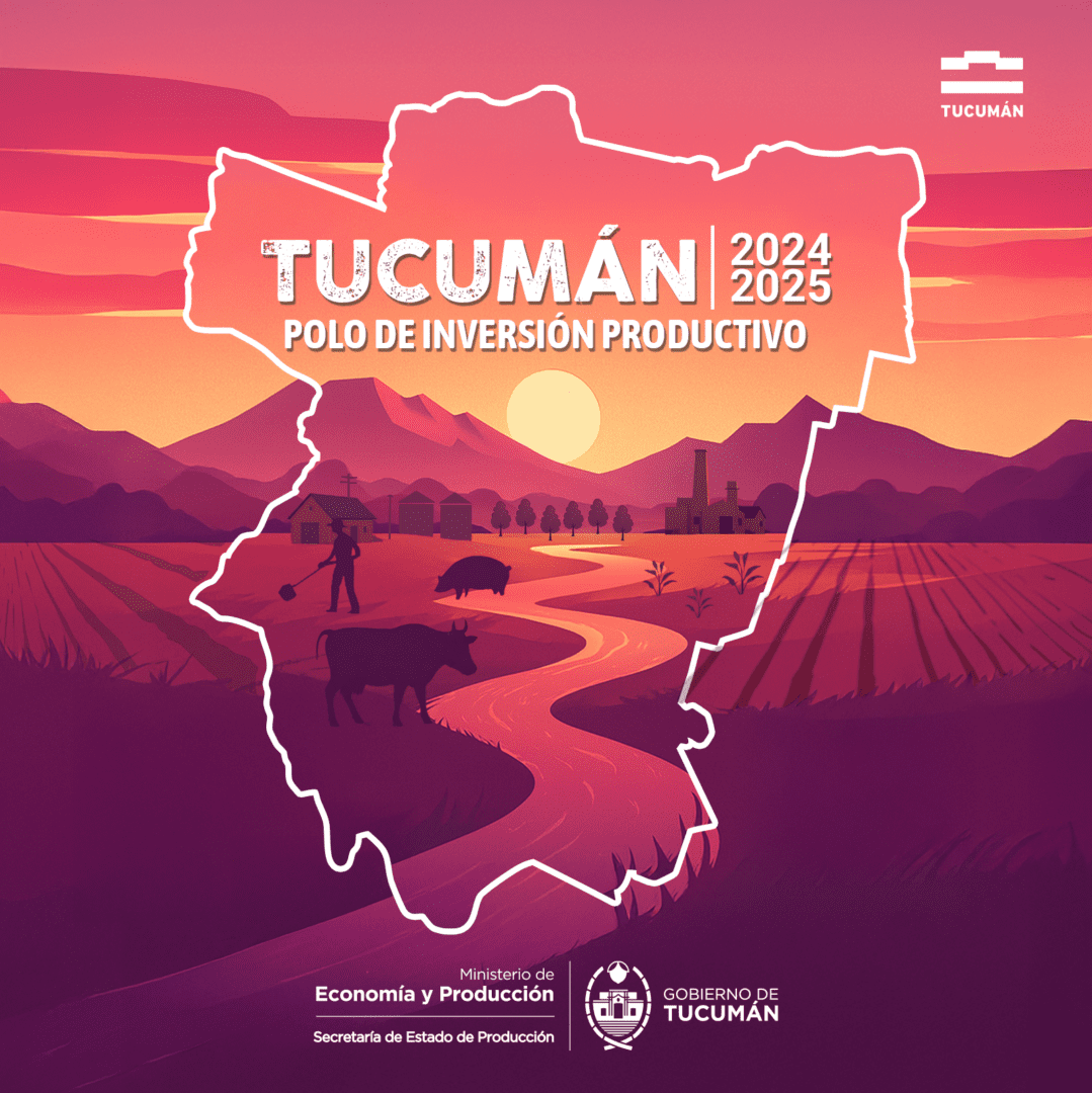 2024-2025 – Revista